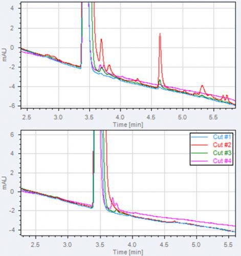 Example of main peak purity evaluation and impurities formed in the 1D UV detector. 