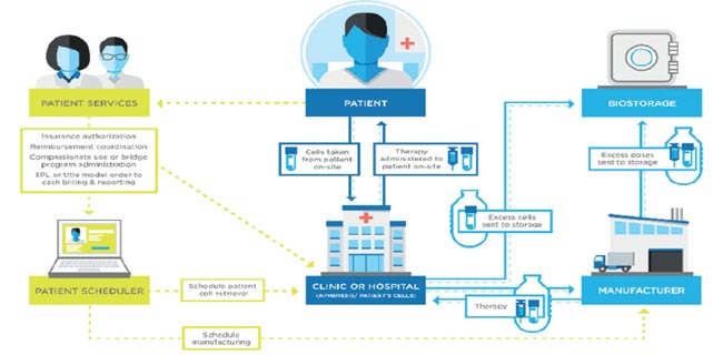 Understanding Pharmaceutical Logistics Validation in a Dynamic Environment