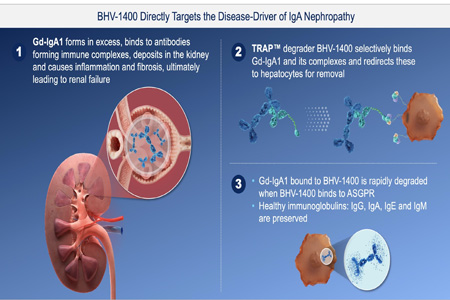 Biohaven highlights portfolio advancement with positive early patient data from priority degrader programs and upcoming milestones