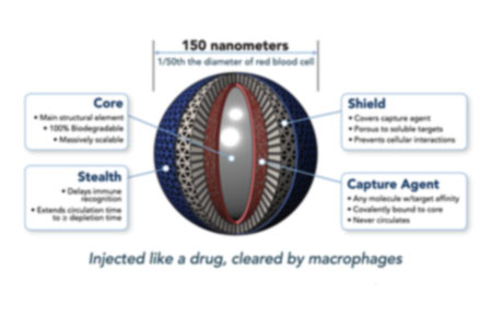 NaNots™, injectable absorptive nanoparticles